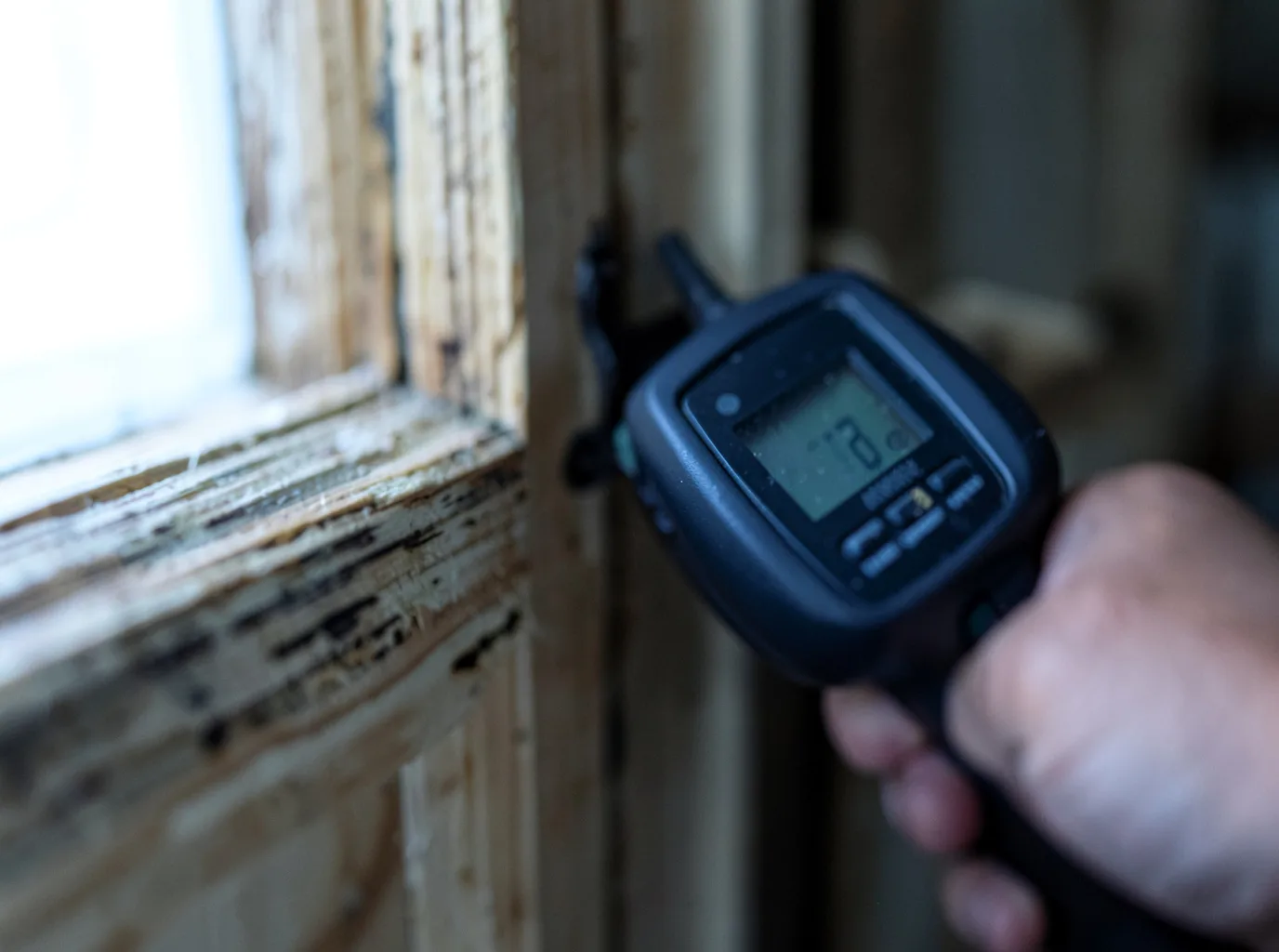 Moisture Inspection And Documentation in San Antonio, PR